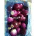 Bawang segar dari shandong